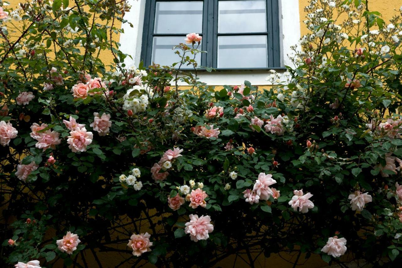 Marienschloessl Bed and Breakfast Wiedendorf Eksteriør billede